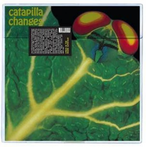 catapilla changes