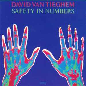 Safety In Numbers - David Van Tieghem