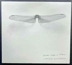 Cynthia Alexander (2) - Even Such Is Time album cover