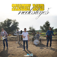 baixar álbum Standby Band - Nedostaješ