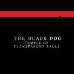 Cover of Temple Of Transparent Balls, 2007-10-01, File