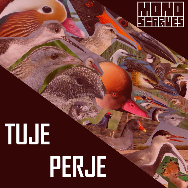 descargar álbum Mono Scarves - Tuje Perje