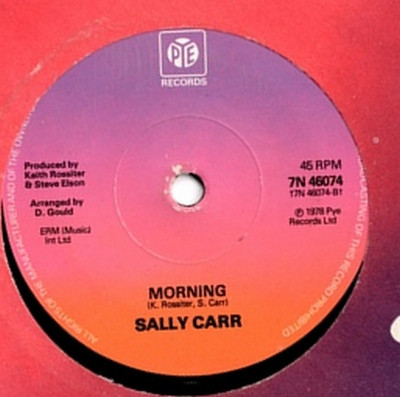 last ned album Sally Carr - Pretty Boy Blue