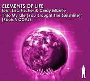 Elements Of Life (3) - Into My Life (You Brought The Sunshine) album cover