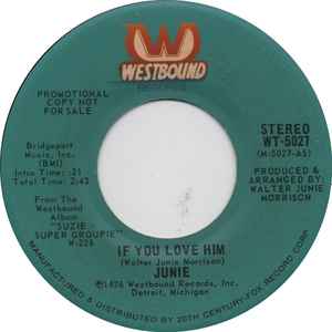 Junie Morrison - If You Love Him  album cover
