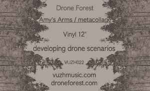 Drone Forest - Amy's Arms / Metacollage album cover