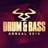 Various - RAM Drum & Bass Annual 2019