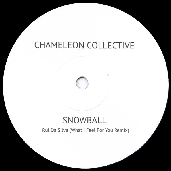last ned album Chameleon Collective, Rui Da Silva - Snowball Rui Da Silva What I feel For You Remix