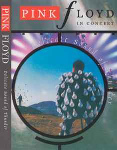 Pink Floyd - In Concert - Delicate Sound Of Thunder album cover