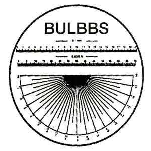 Lloop - Bulbbs album cover