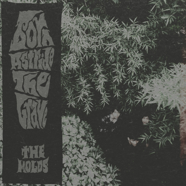 Album herunterladen The Molds - Born Astride The Grave