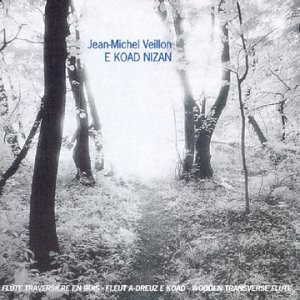 Jean-Michel Veillon - E Koad Nizan on Discogs
