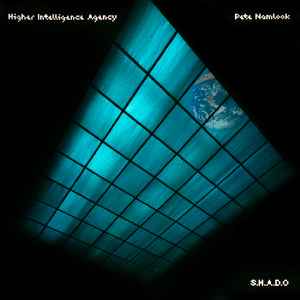 S.H.A.D.O - Higher Intelligence Agency & Pete Namlook