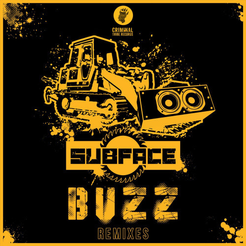 descargar álbum Subface - Buzz Remixes