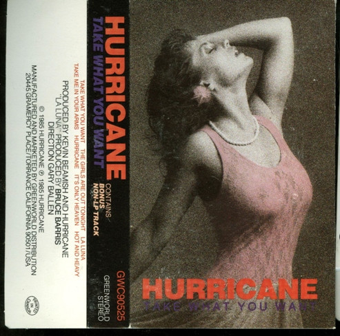 Hurricane – Take What You Want (1985, Vinyl) - Discogs