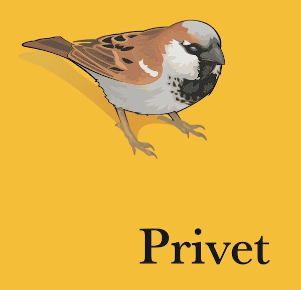 Album herunterladen Download Privet - Privet album