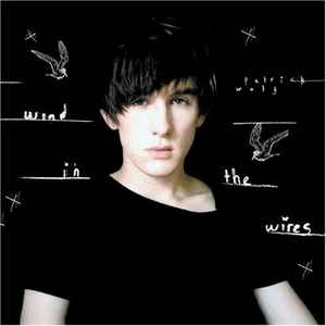 Patrick Wolf - Wind In The Wires album cover