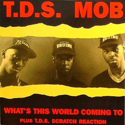 last ned album TDS Mob - Whats This World Coming To