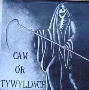 Cam O'r Tywyllwch - Various