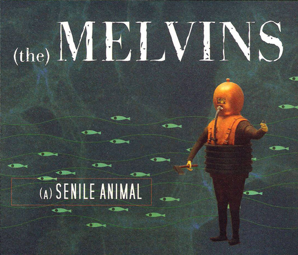 The) Melvins – (A) Senile Animal (2006, CD) - Discogs