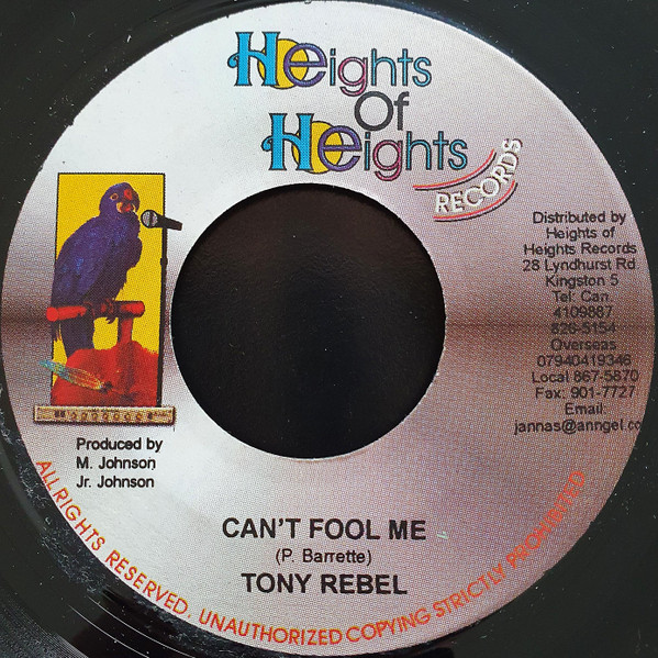 télécharger l'album Tony Rebel - Cant Fool Me