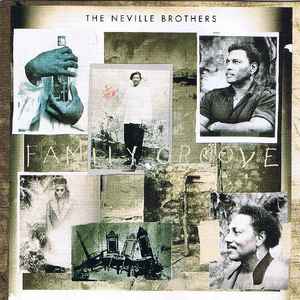 Family groove : fly like an eagle ; one more day ; I can see it in your eyes ; day to day thing ;... / Neville Brothers, ens. voc. & instr. | Neville Brothers. Interprète