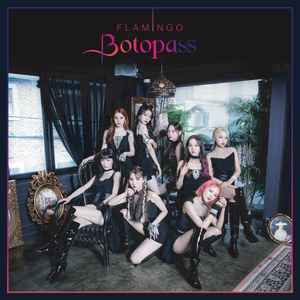 Botopass - Flamingo album cover