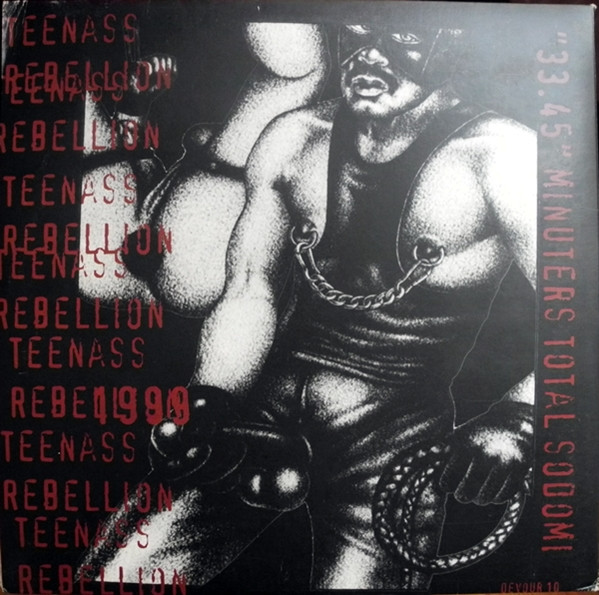 Arsedestroyer – Teenass Revolt (2001, Vinyl) - Discogs