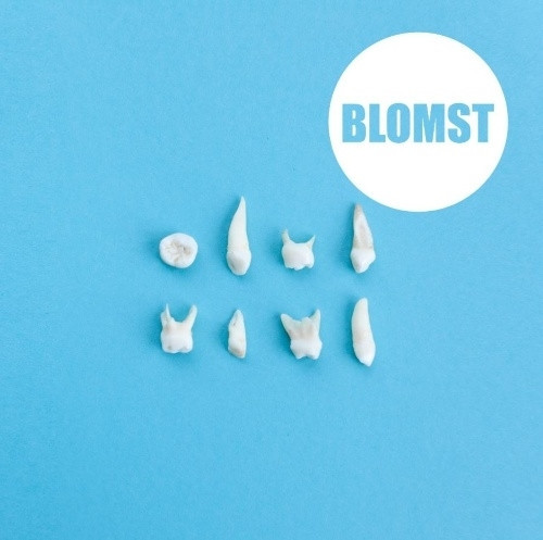 télécharger l'album Blomst - Blomst