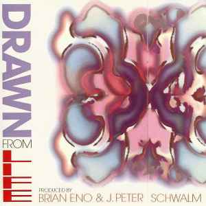 Brian Eno - Drawn From Life album cover