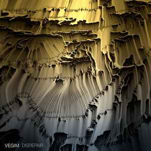 Vegim - Disrepair album cover