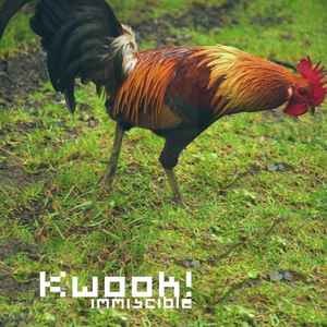 Kwook - Immiscible album cover