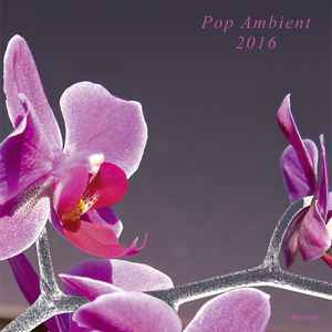 Various - Pop Ambient 2016
