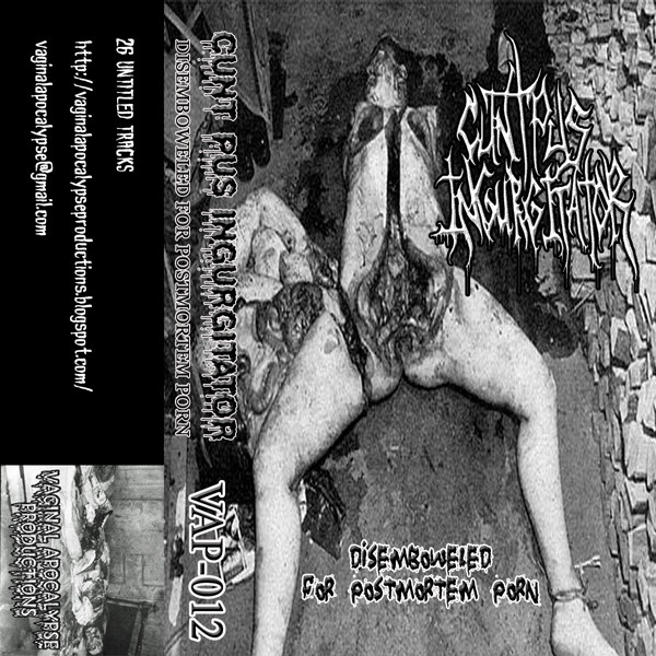 Postmartam Xxx Com - Cunt Pus Ingurgitator - Disemboweled For Postmortem Porn | Releases |  Discogs