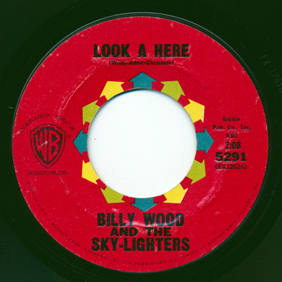 Album herunterladen Billy Wood And The SkyLighters - Look A HereHold On