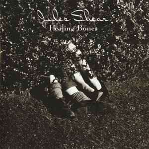 Jules Shear - Healing Bones