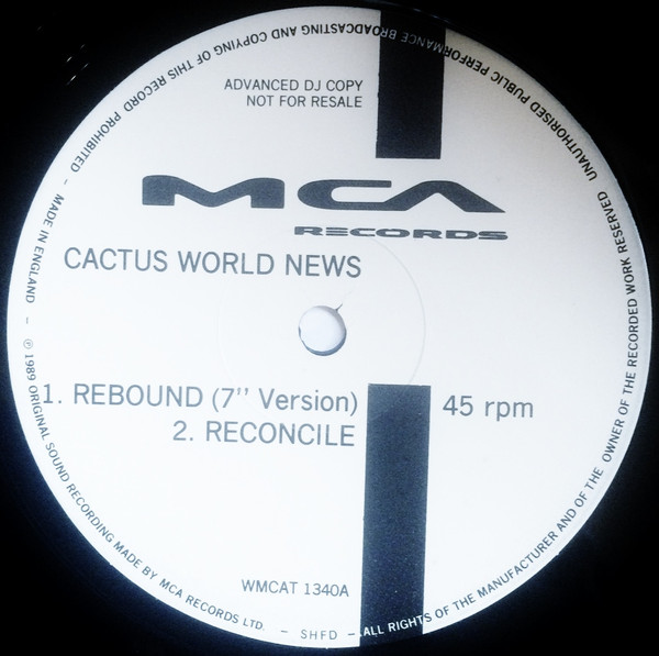 baixar álbum Cactus World News - Rebound