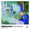 Spiritchaser Feat Angie Brown - Wild Orchid