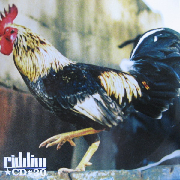 ladda ner album Various - Riddim CD 30