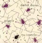 David Dunn - Angels And Insects album cover