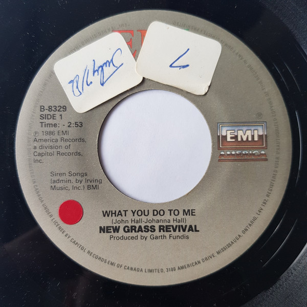 télécharger l'album New Grass Revival - What You Do To Me