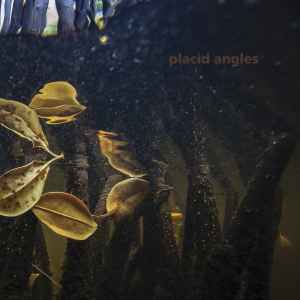 Placid Angles - Touch The Earth album cover