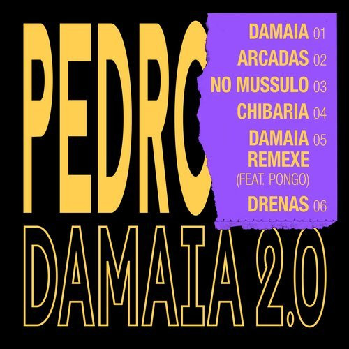 last ned album Pedro - Damaia 20
