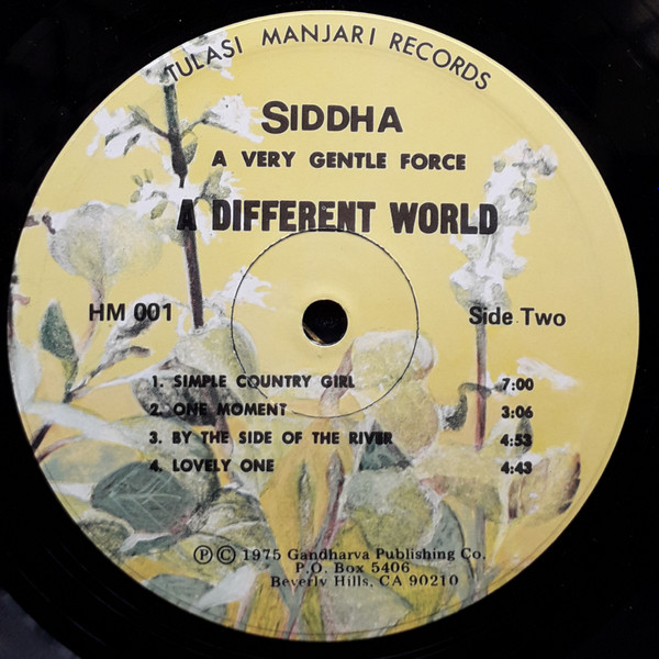 last ned album Siddha - A Very Gentle Force This World A Different World