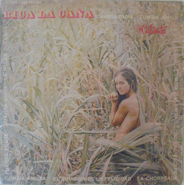 Album herunterladen Various - Rica La Caña