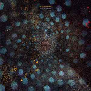 Jacob Anderskov - Spirit Of The Hive album cover