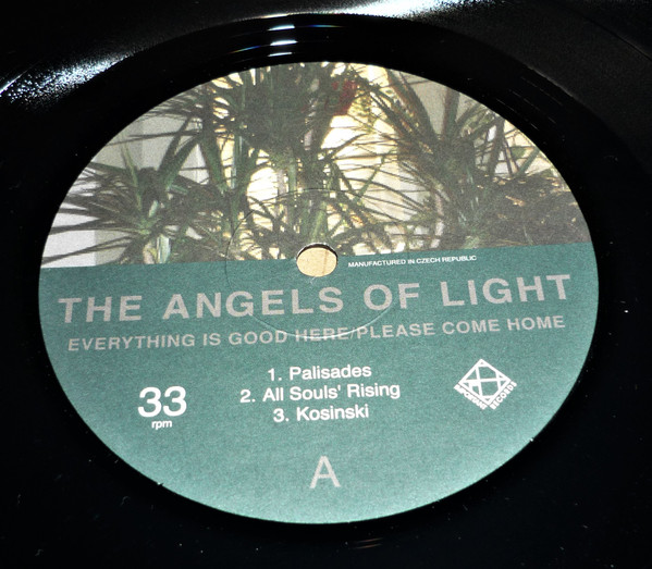 descargar álbum The Angels Of Light - Everything Is Good Here Please Come Home