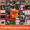Various - Riot City Punk Singles Collection Volume 2