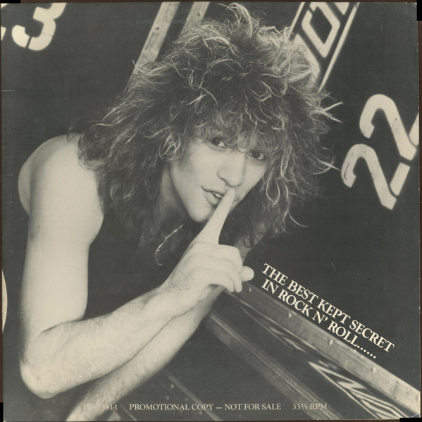 ladda ner album Bon Jovi - The Best Kept Secret In Rock N Roll