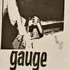 Gauge (3) - Demo